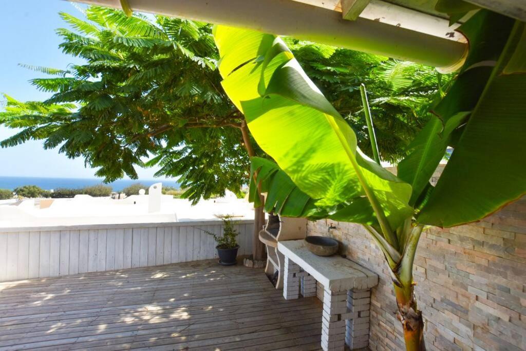 Book Jet - Costa Calma Blue Ocean Dream Terrace Apartment Ngoại thất bức ảnh